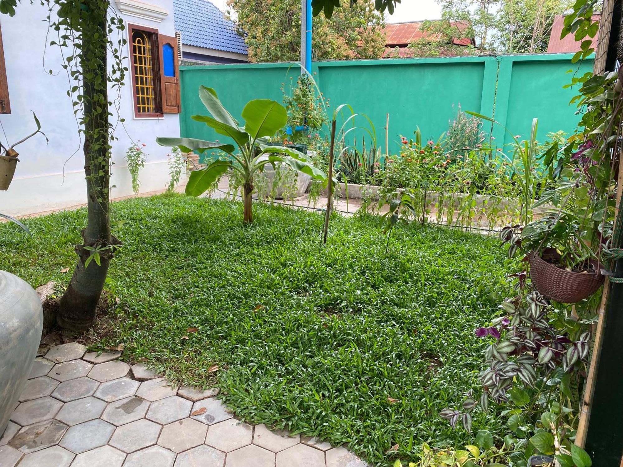 Bloom Garden Bed & Breakfast Siem Reap Exterior foto